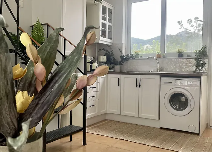 Casa * 코스 타운