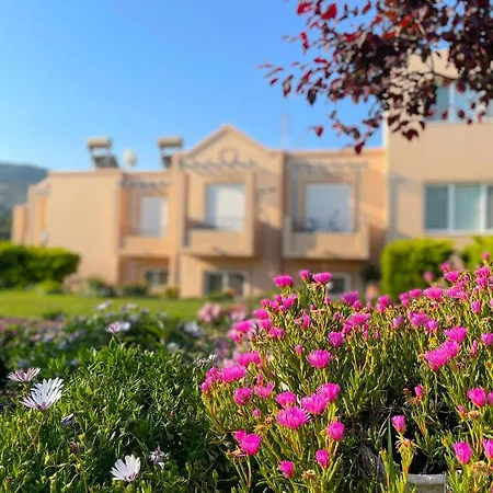 Casa העיירה קוס