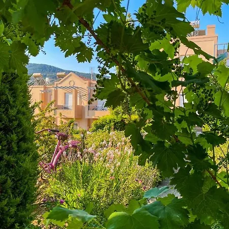 Casa Case de vacanță