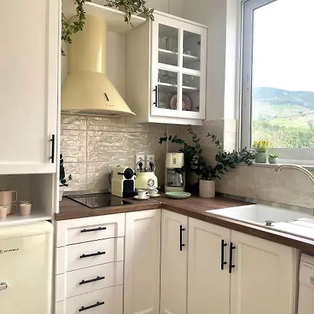 Casa Case de vacanță