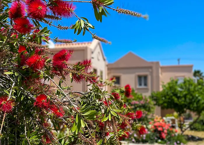 Casa بيت للعطل *